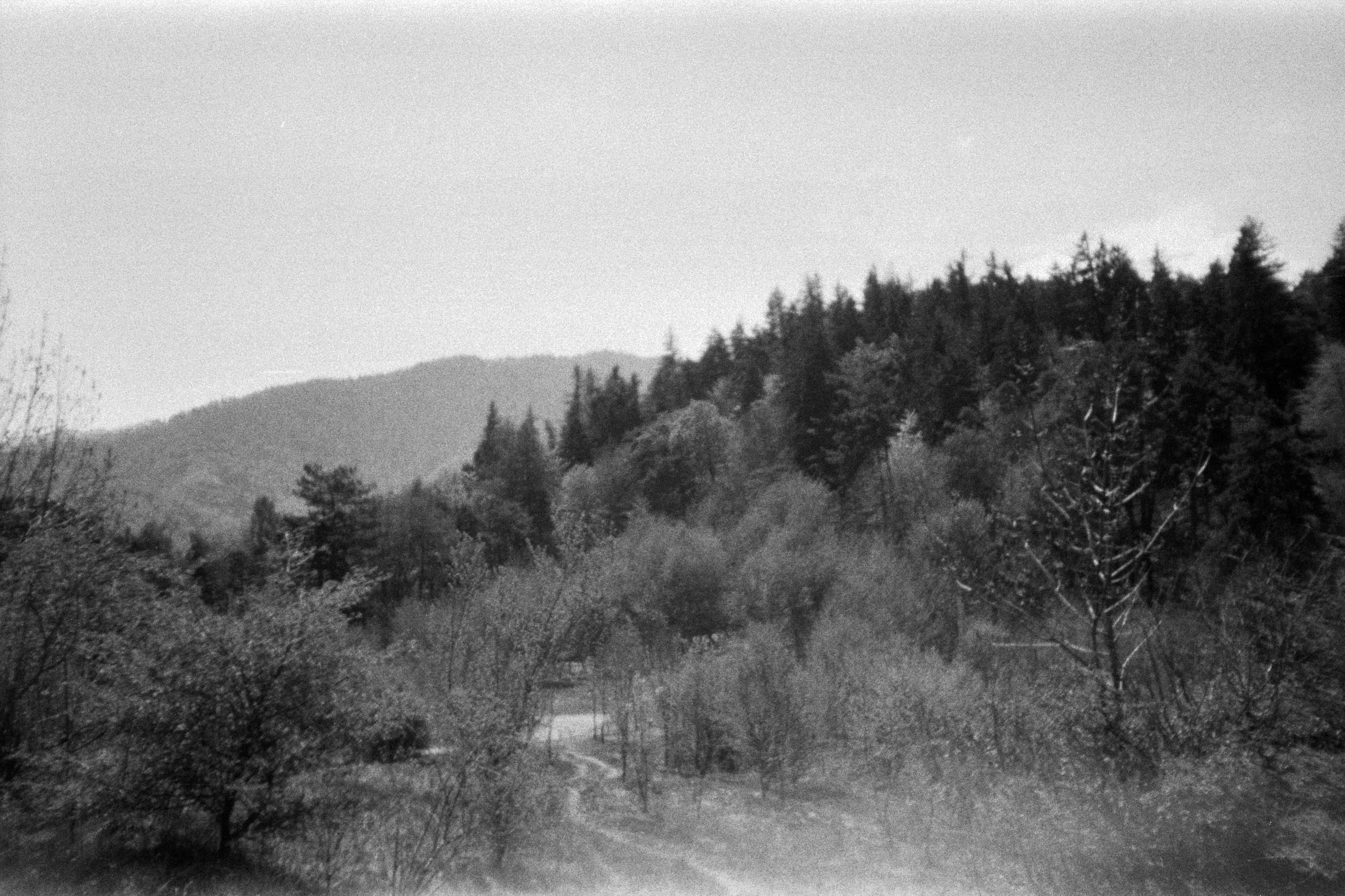 The mountains above Brasov
